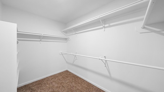 spacious closet with carpet