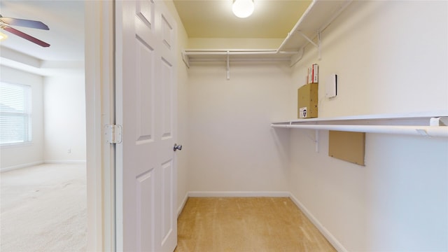 walk in closet featuring light carpet and ceiling fan