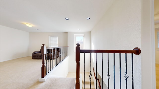 staircase with carpet flooring