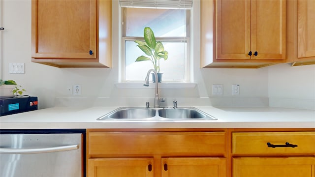 kitchen with dishwasher and sink