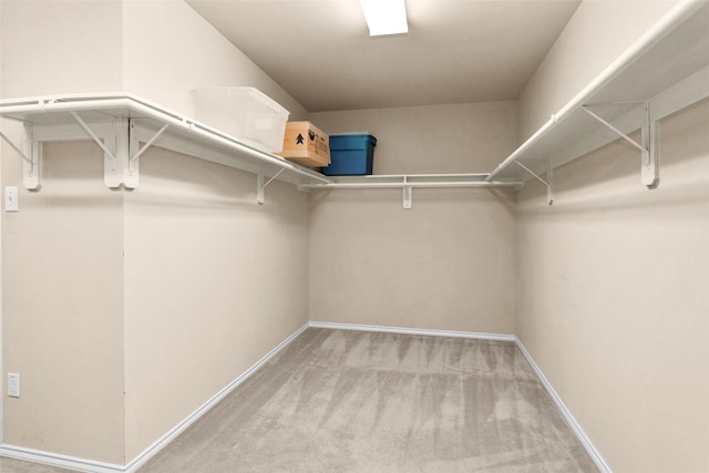 walk in closet featuring carpet flooring