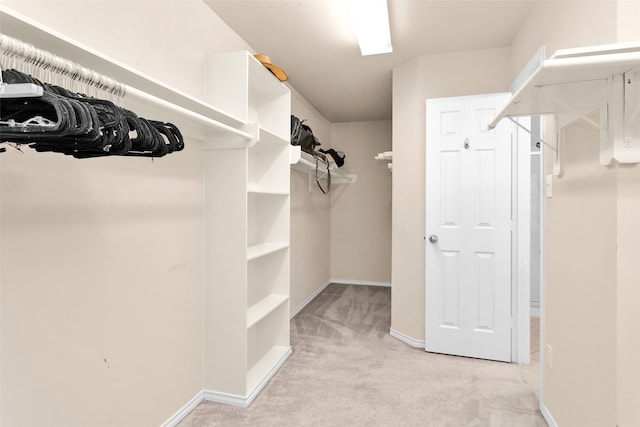 spacious closet featuring light carpet