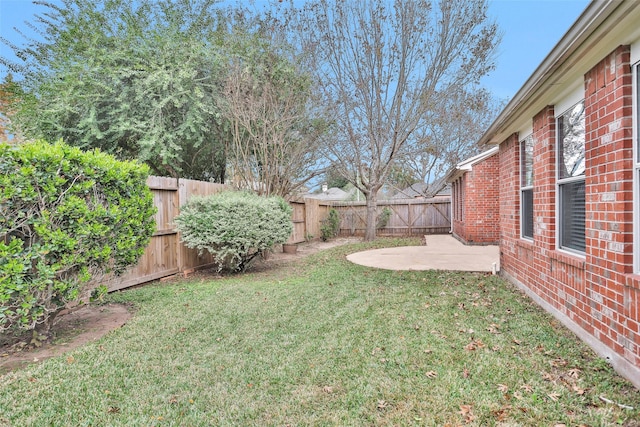 view of yard featuring a patio area