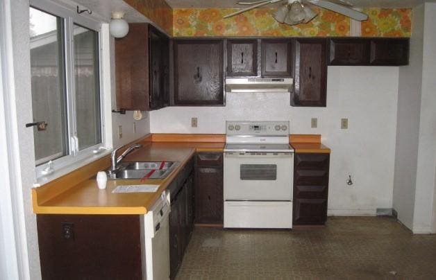 kitchen with ceiling fan, dark brown cabinets, white appliances, and sink