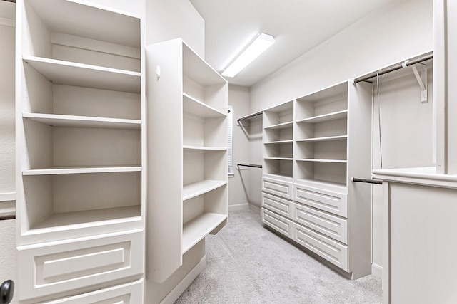 spacious closet featuring light colored carpet