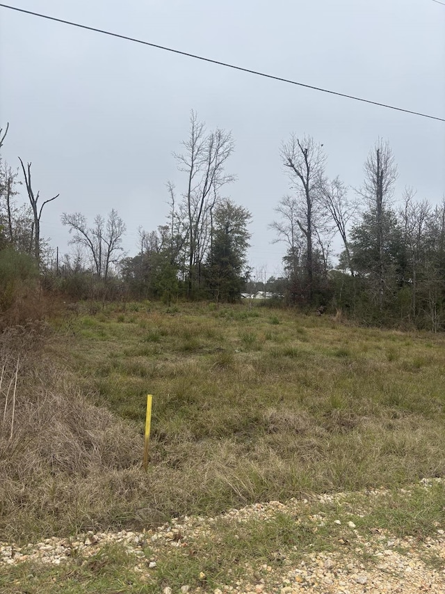 000 Eagle Ln, Livingston TX, 77351 land for sale