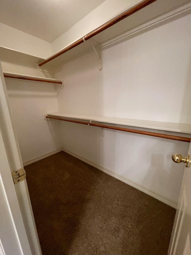 spacious closet with dark carpet