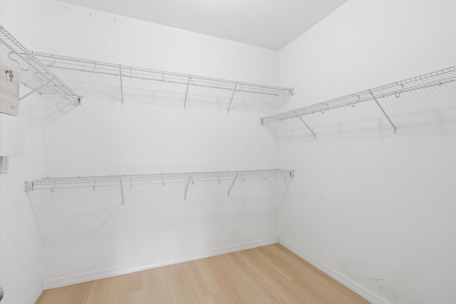 walk in closet featuring hardwood / wood-style flooring