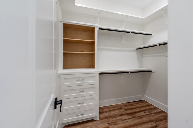 spacious closet with hardwood / wood-style flooring