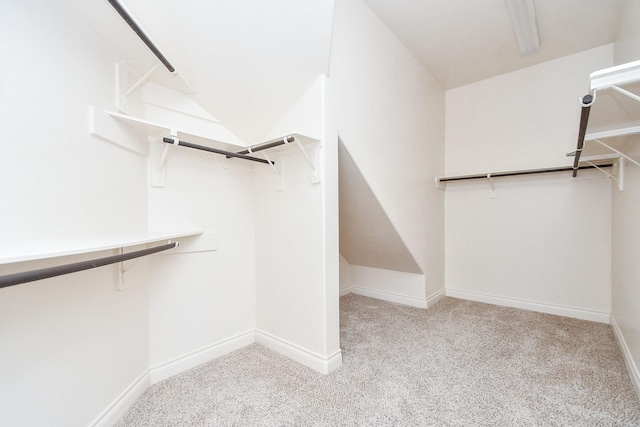 walk in closet featuring carpet