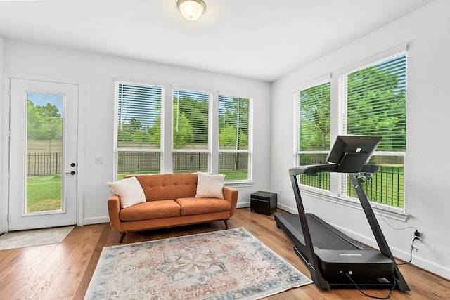 exercise area with light hardwood / wood-style floors