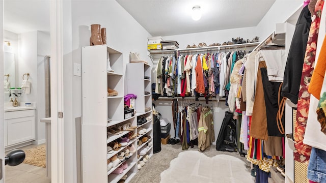 spacious closet with light carpet