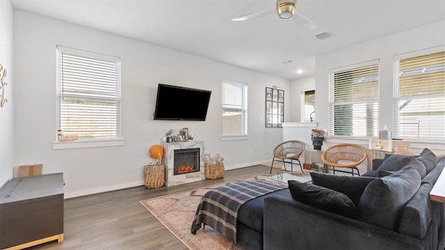 living room featuring wood-type flooring, ceiling fan, and a premium fireplace