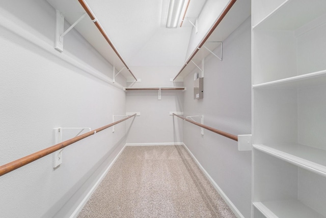 spacious closet with electric panel and carpet