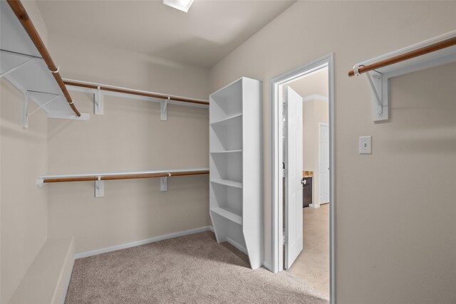 spacious closet with light carpet