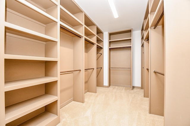 walk in closet with carpet