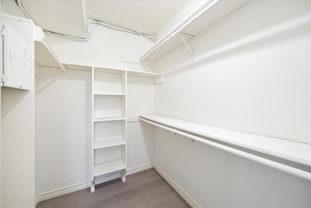 walk in closet featuring hardwood / wood-style floors