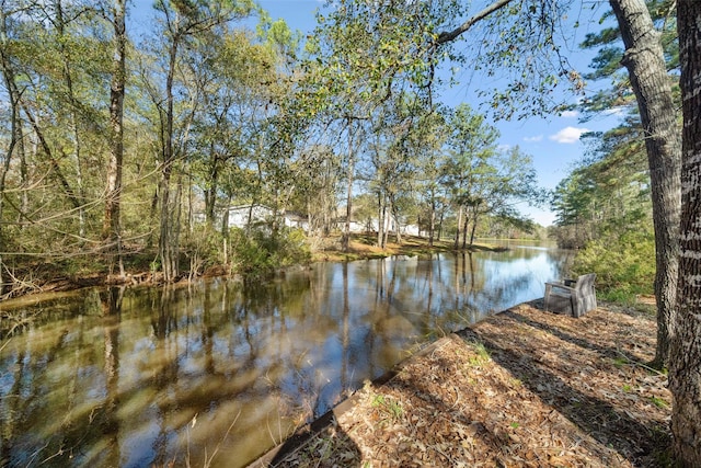 property view of water