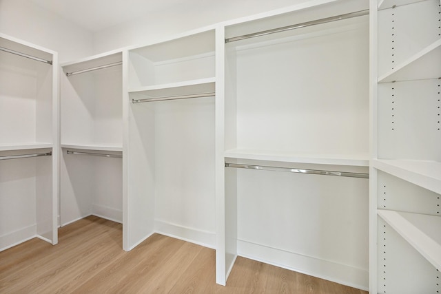 spacious closet with hardwood / wood-style flooring