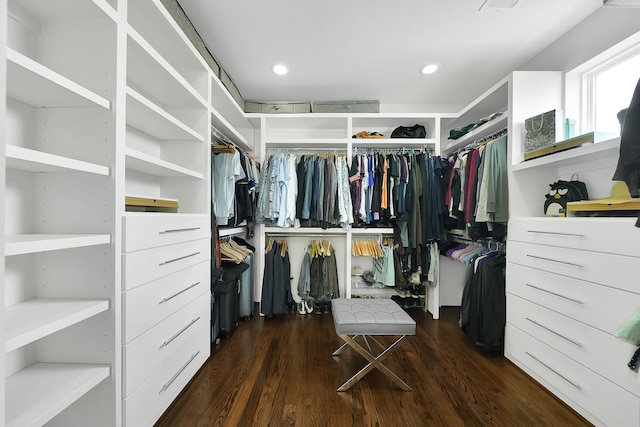 walk in closet with dark wood-type flooring