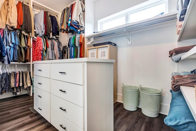 spacious closet featuring dark hardwood / wood-style floors