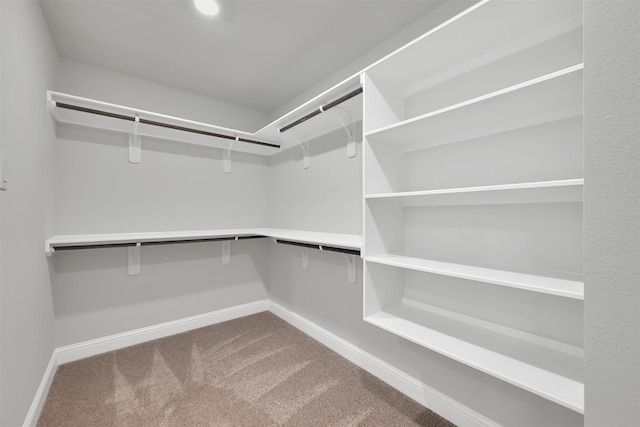 spacious closet featuring carpet floors