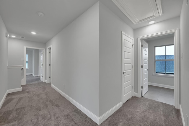 hallway with a water view, crown molding, a tray ceiling, and light colored carpet