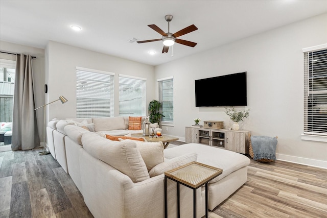 living room featuring ceiling fan and hardwood / wood-style floors