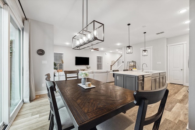 dining area with ceiling fan, light wood-type flooring, and sink