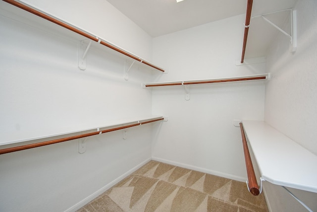 spacious closet featuring light carpet