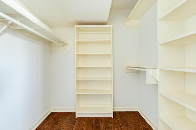 spacious closet with dark wood-type flooring