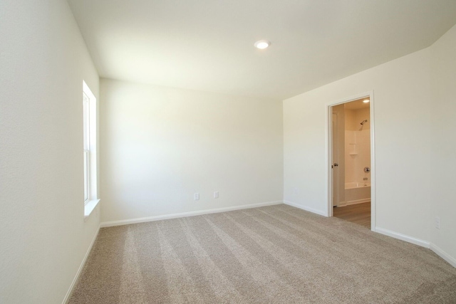 carpeted spare room with a wealth of natural light