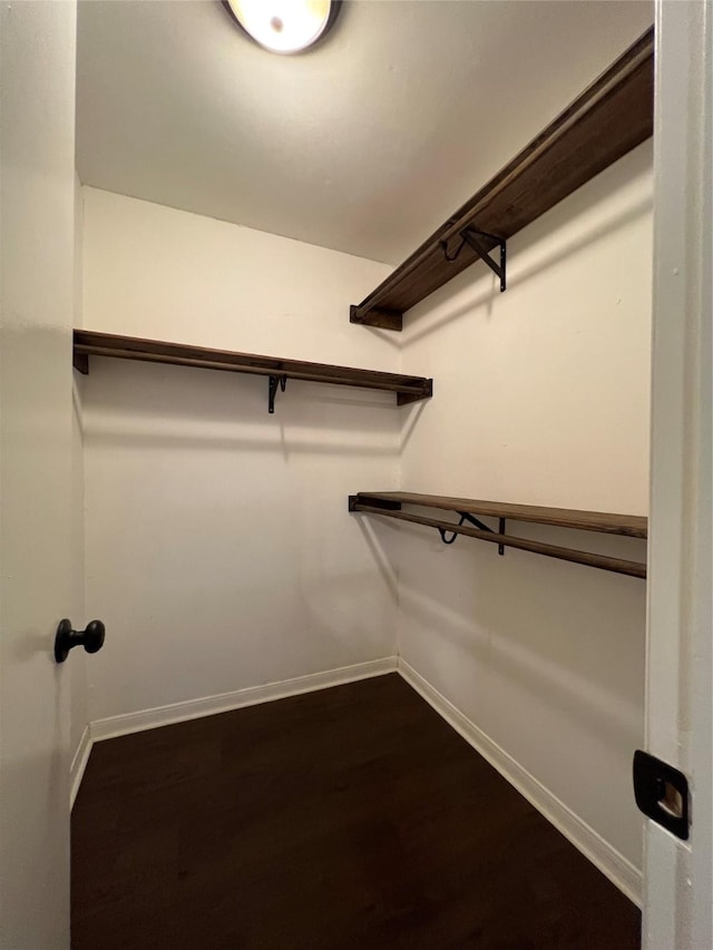 spacious closet featuring wood-type flooring