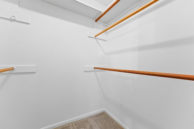 walk in closet with carpet