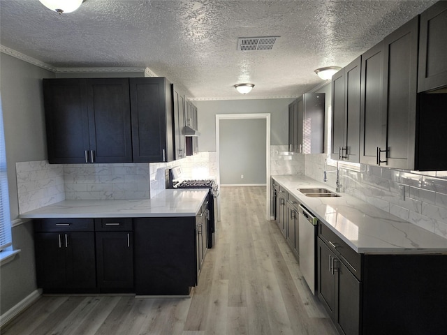 kitchen featuring decorative backsplash, light wood-type flooring, sink, and appliances with stainless steel finishes