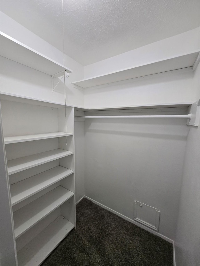 walk in closet featuring dark colored carpet