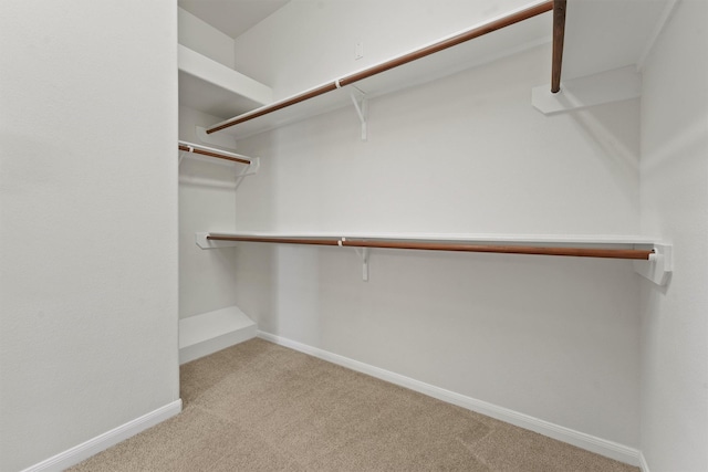 spacious closet with light colored carpet