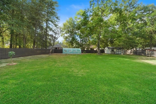 view of yard featuring a shed