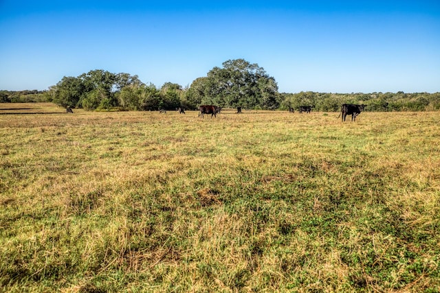 03 Sawmill Rd, Brenham TX, 77833 land for sale