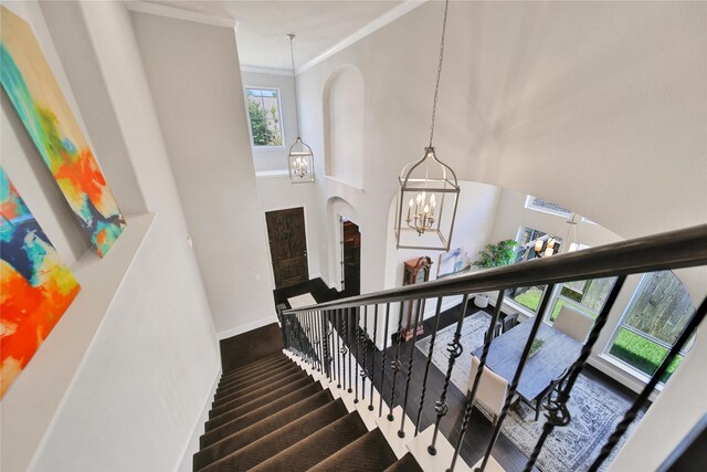 stairs featuring a towering ceiling and ornamental molding