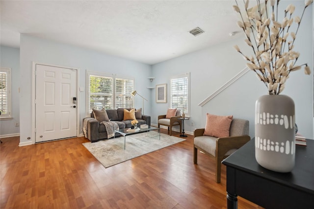 living room featuring wood-type flooring