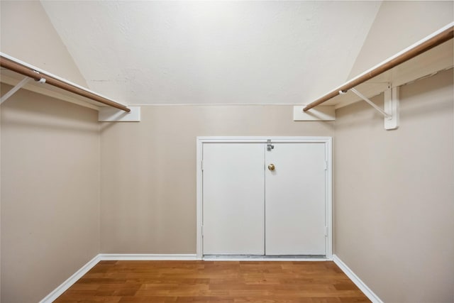 spacious closet with wood-type flooring