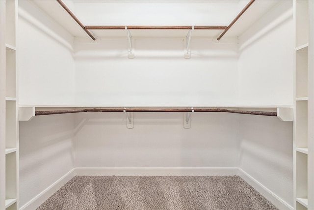 spacious closet featuring carpet