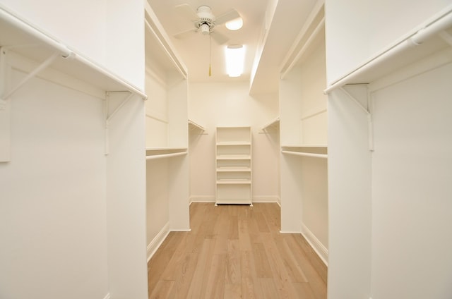 walk in closet featuring light hardwood / wood-style flooring and ceiling fan