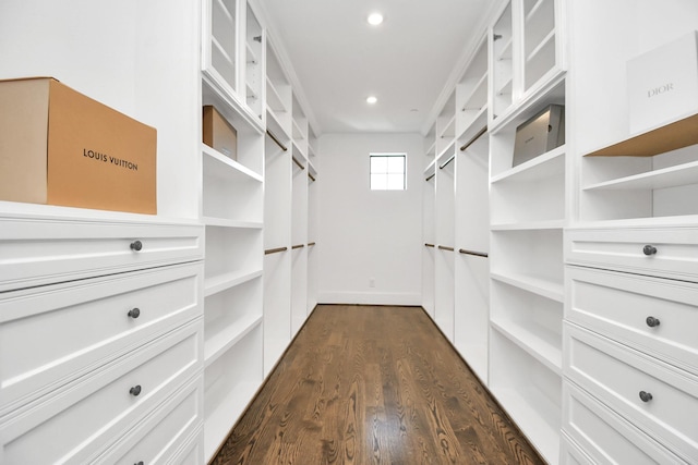 walk in closet featuring dark hardwood / wood-style floors