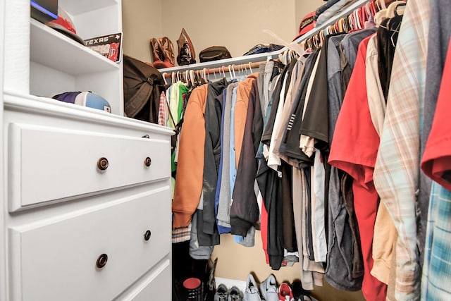 view of spacious closet