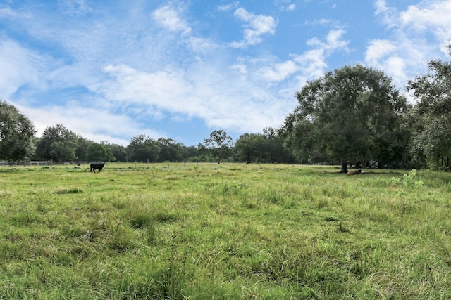 view of landscape with a rural view