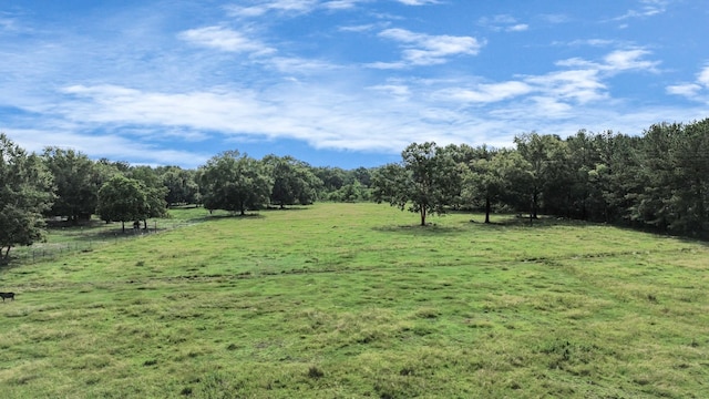 view of yard with a rural view