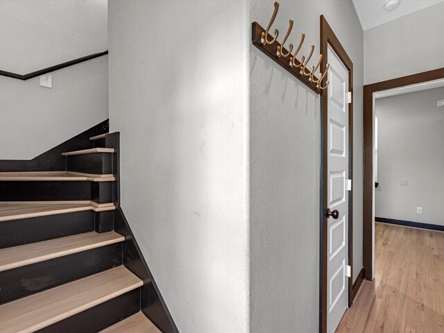 stairway featuring hardwood / wood-style floors