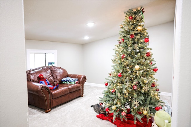 13112 County Road 65, Rosharon, TX 77583 - carpeted living room featuring baseboards and recessed lighting